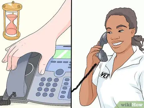 Image titled Treat Joint or Spinal Issues in Dogs with Prolotherapy Step 5