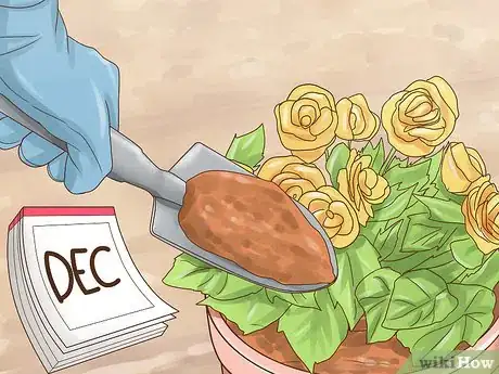 Image titled Grow Miniature Houseplants Step 16