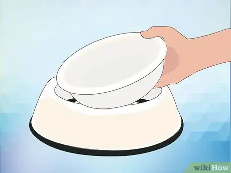 Image titled Feed Cockatiels Step 5