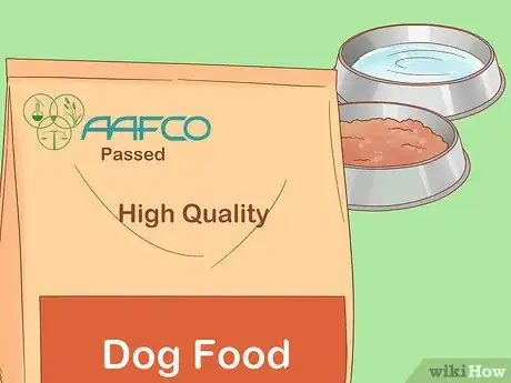 Image titled Deal with a Dog Pregnancy Step 10