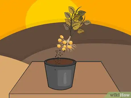 Image titled Plant Potatoes in Pots Step 18