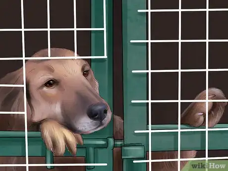 Image titled Know if You Are Ready for a Dog Step 1