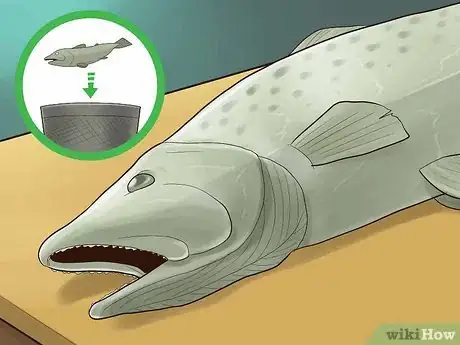 Image titled Know if Salmon Is Bad Step 2