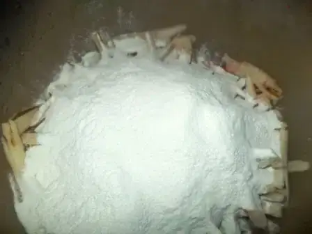 Image titled DSC02124.JPG