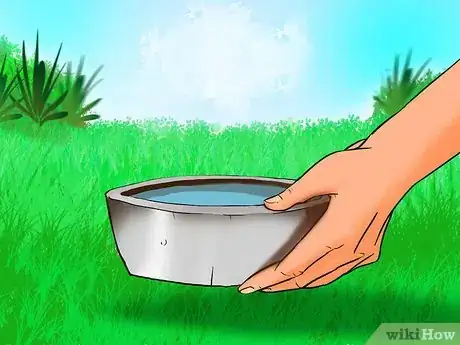 Image titled Prevent Kidney Disease in Cats Step 7