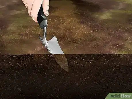 Image titled Plant Under a Tree Step 5