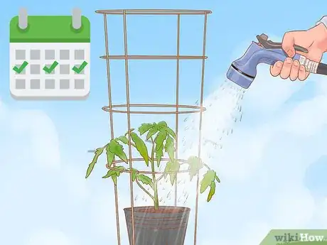 Image titled Grow Roma Tomatoes Step 9