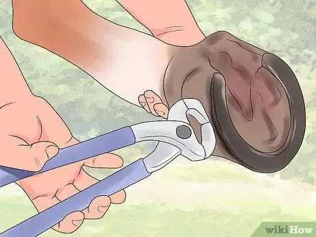 Image titled Feed a Starving Horse Step 17