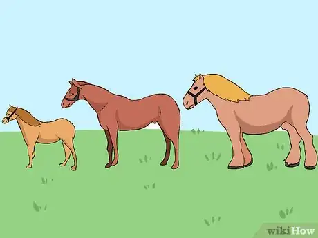 Image titled Find a Share Horse Step 2