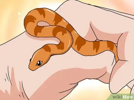 Image titled Choose Your First Pet Snake Step 2Bullet1