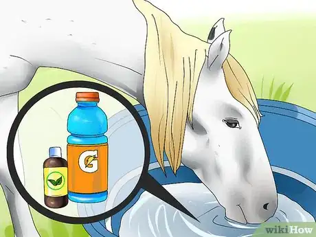 Image titled Take Your Horse on a Long Trailer Ride Step 8