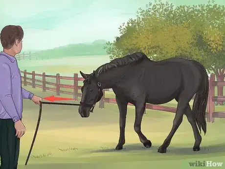 Image titled Make a Horse Move Forward Step 8