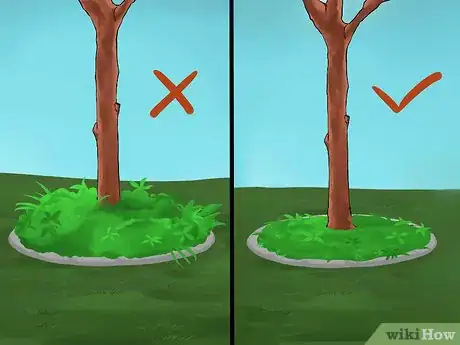 Image titled Create Tree Flower Beds Step 6