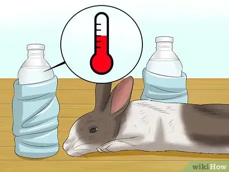 Image titled Keep Rabbits Warm in Sub Zero Weather Step 15