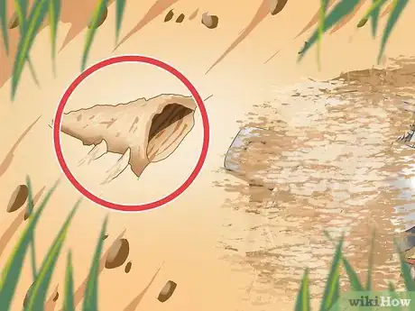 Image titled Make a Coyote Trap Step 13