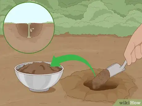 Image titled Improve Soil Step 17