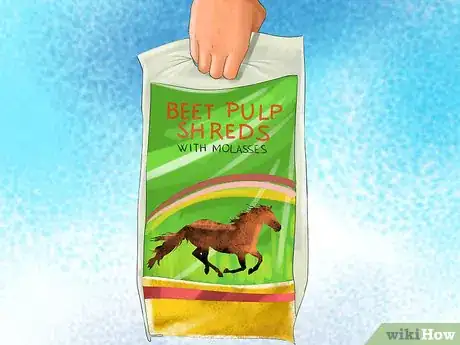Image titled Feed Sugar Beet to a Horse Step 4