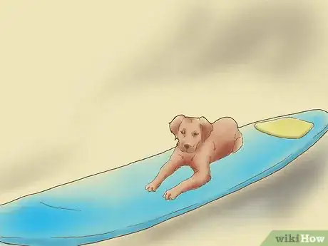 Image titled Teach Your Dog to Surf Step 5