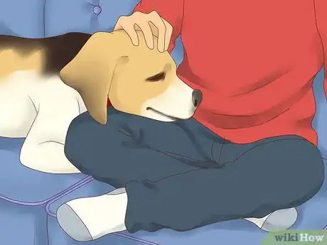 Image titled Treat Depression in Dogs Step 2