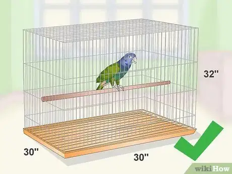 Image titled Set Up a Pionus Parrot Habitat Step 1
