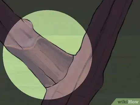 Image titled Prune Spirea Shrubs Step 18