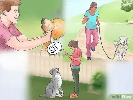 Image titled Choose a Dog That's Easy to Train Step 15