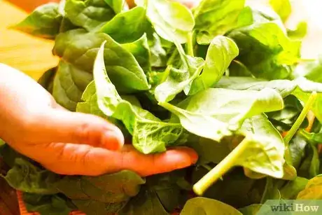 Image titled Prepare Spinach Step 1