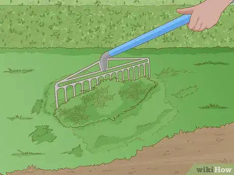 Image titled Identify Cutworm Damage Step 11