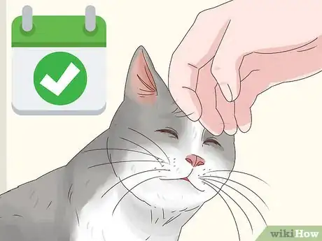 Image titled Countercondition a Cat Step 9