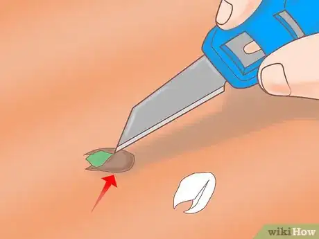 Image titled Plant a Lemon Seed Step 17