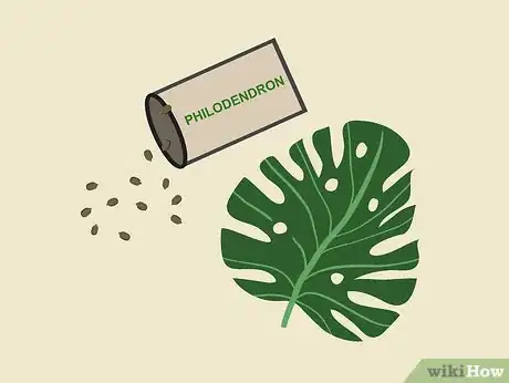 Image titled Grow Philodendron Step 1