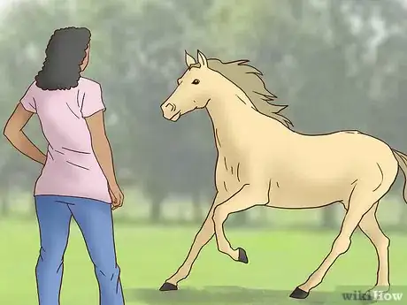 Image titled Teach a Horse to Come when Called Step 7