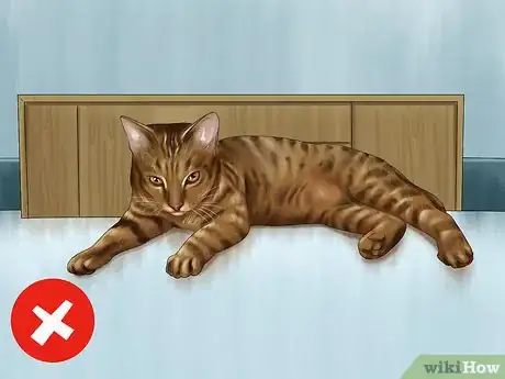 Image titled Find Safe Placement for Your Cat After Foreclosure Step 11
