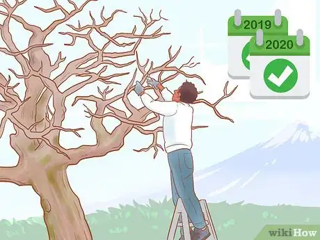 Image titled Prune Old Apple Trees Step 20