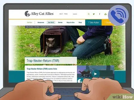 Image titled Identify and Help Feral and Stray Cats Step 8