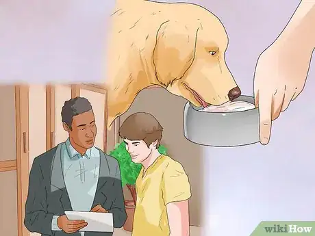 Image titled Treat Hypothyroidism in Golden Retrievers Step 5