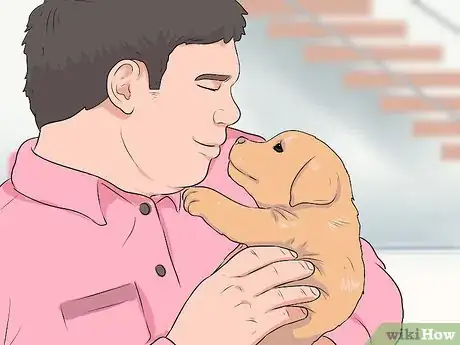 Image titled Make a Pet Love You Step 9