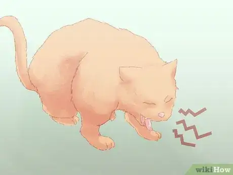 Image titled Save a Choking Cat Step 2