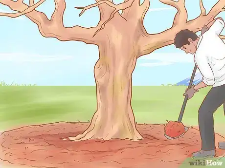 Image titled Prune Old Apple Trees Step 16