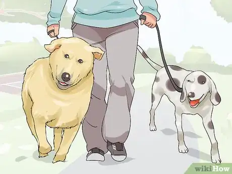 Image titled Have a Successful First Day with a New Dog Step 14