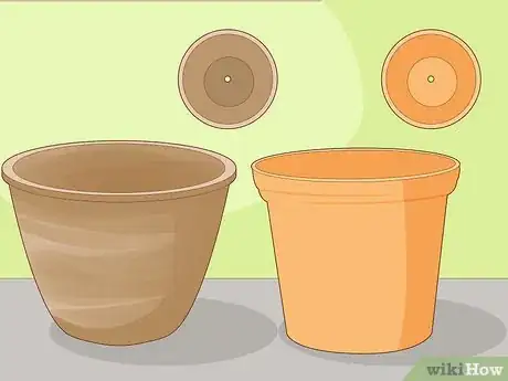 Image titled Keep an Ivy Plant Healthy Step 1