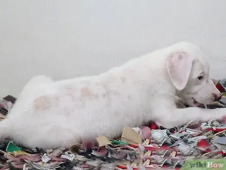Image titled Make a Puppy Happy Step 2