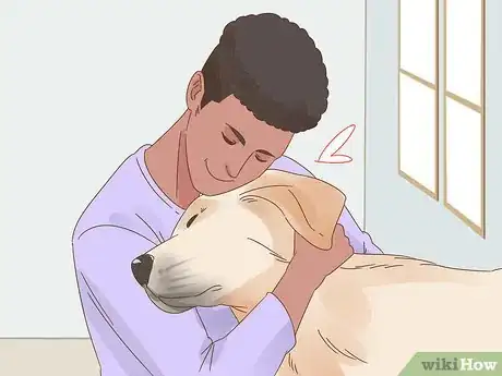 Image titled Care for a Dog Blind from Birth Step 9