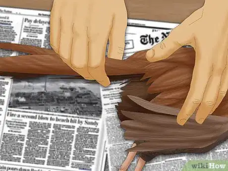 Image titled Pluck a Pheasant Step 4