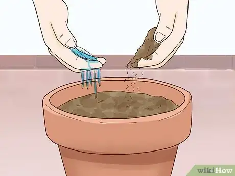 Image titled Grow Lettuce Indoors Step 4