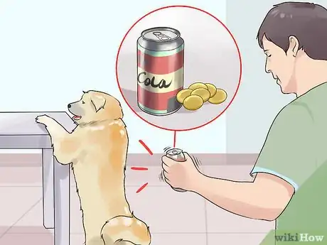 Image titled Set Consistent Limits for a New Dog Step 6