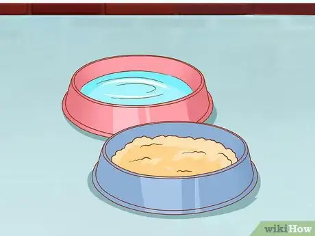 Image titled Care for Your Older Dog Step 7