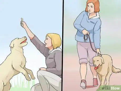 Image titled Live with a Dog with a High Prey Drive Step 8