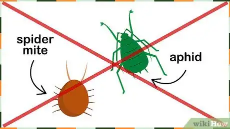 Image titled Grow Vietnamese Mint Step 8