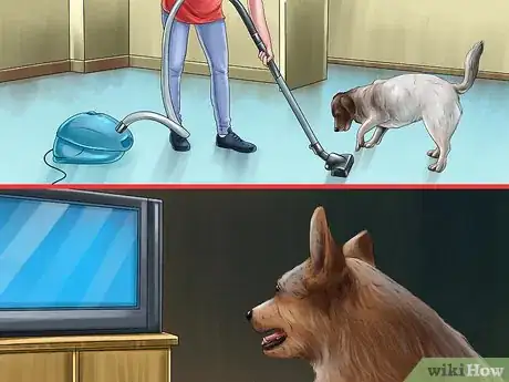 Image titled Care for a Rescued Dog Step 8